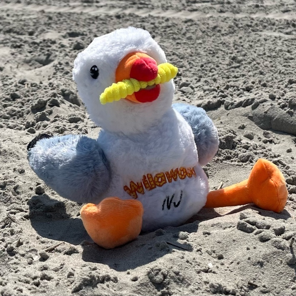 Sunny the Seagull Plush Toy Wildwood NJ New Fry in his mouth